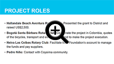 Rotary Club Project Roles